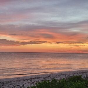 Meet your Posher, ella